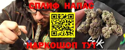 гидра Кандалакша