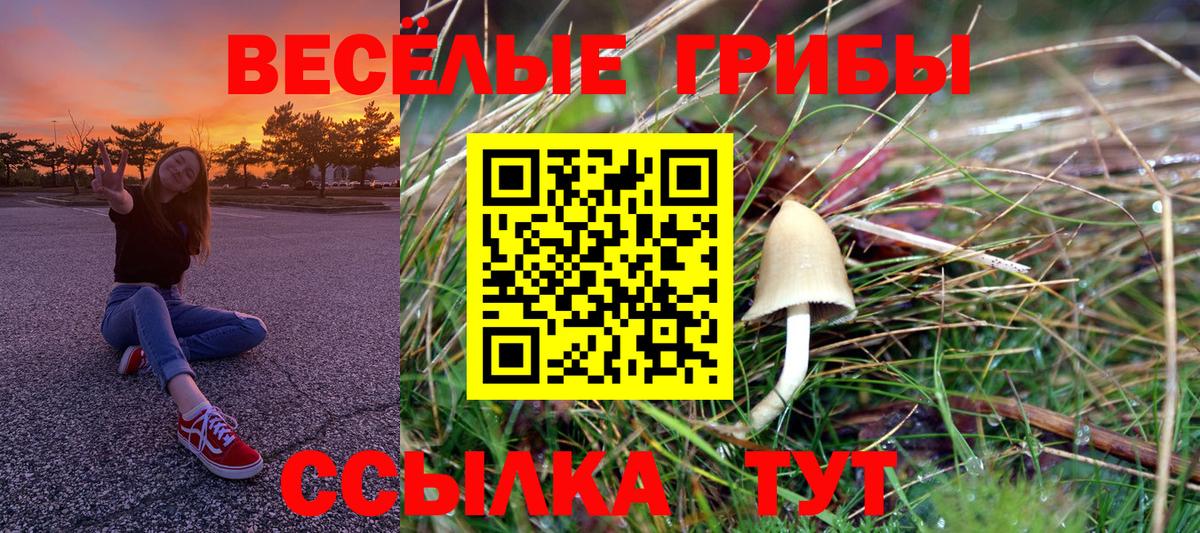 Галлюциногенные грибы Cubensis  Вход с VPN  где купить наркоту  Минеральные Воды  Галлюциногенные грибы Psilocybe 